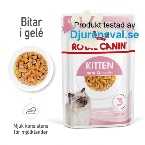 Royal Canin Kitten Jelly 12x85 g